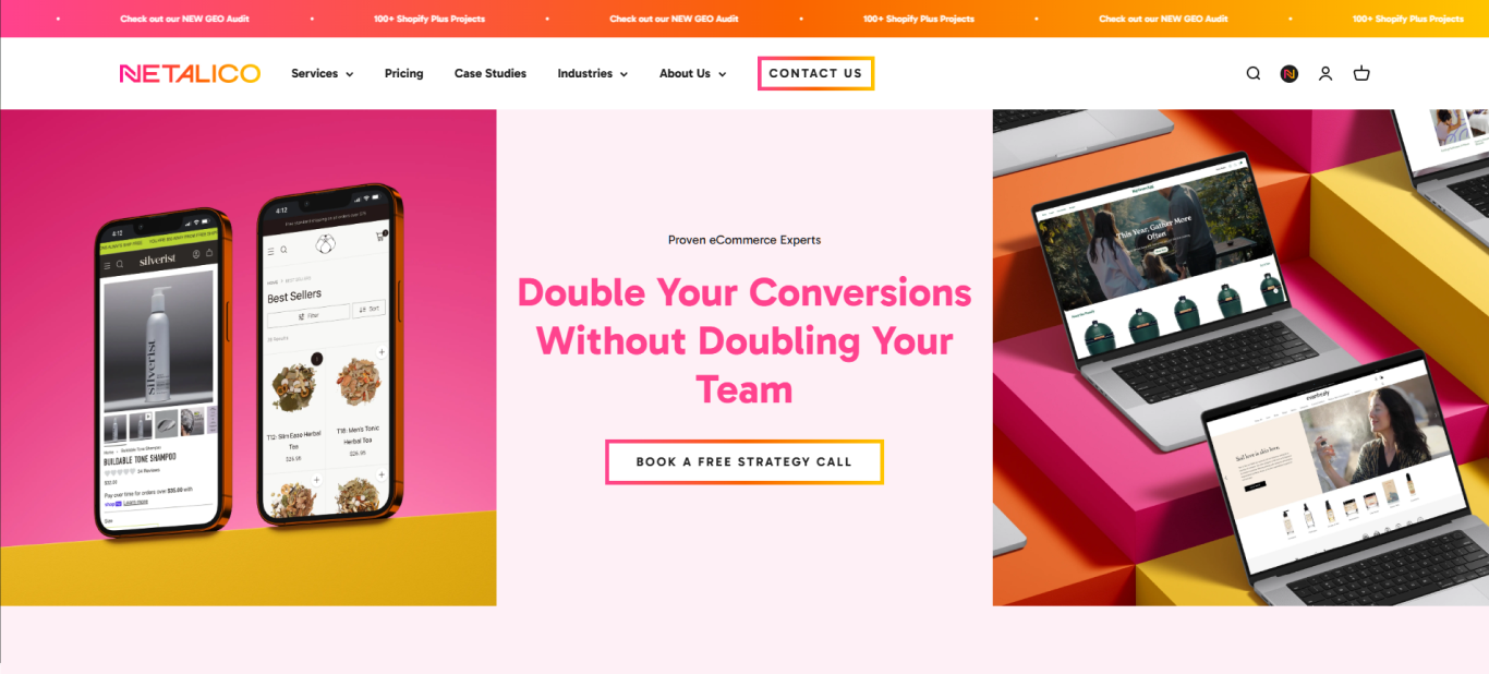 Netalico ecommerce development company USA